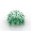 Bush