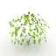 Bush