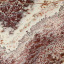 Marble