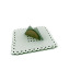 Napkin