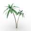 Palm