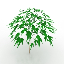 tree 3D Model Preview #213129e3