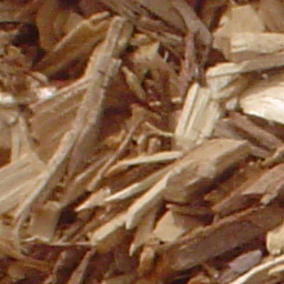 Dust