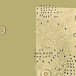 Carpet