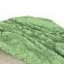 Cloth
