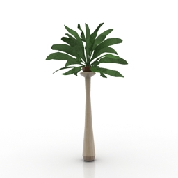 3D Tree preview