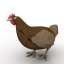 Hen