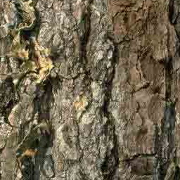 Wood