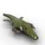 Alligator