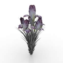 3D Flower preview