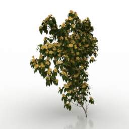 tree 3D Model Preview #3595c0eb