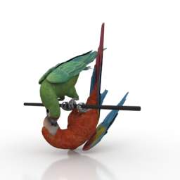 macaw 3D Model Preview #943ffd34