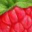 Raspberry
