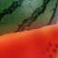 Melon