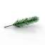 Twig
