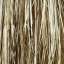 Hair