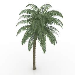 tree 3D Model Preview #95c7cf33