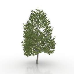 3D Tree preview