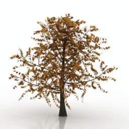 3D Tree preview