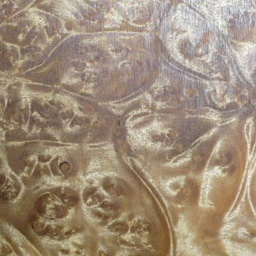 Wood