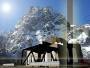 architecture home design