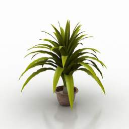 3D Flower preview