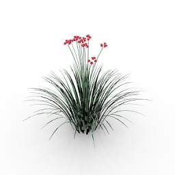 3D Flower preview