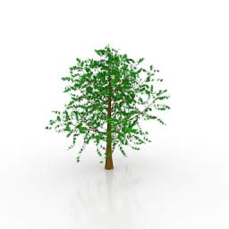 3D Tree preview