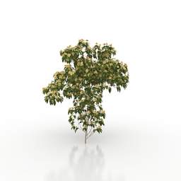 3D Tree preview