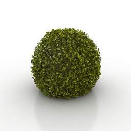 3D Bush preview