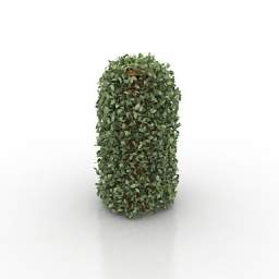3D Bush preview