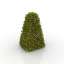 Bush