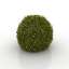 Bush