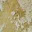 Stucco