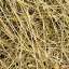 Hay