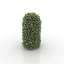 Bush