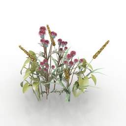 3D Flower preview