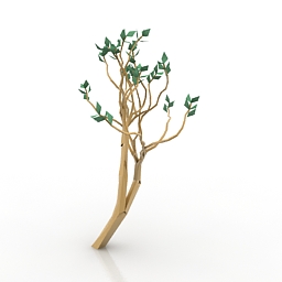 3D Tree preview