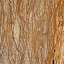 Travertine