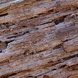 Wood