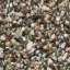 Pebbles