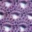Textile
