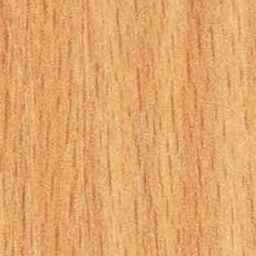 Beech