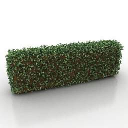 "Bushes" - collection preview