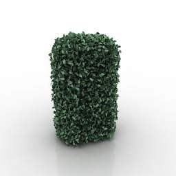 3D Bush preview