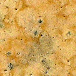 Wall