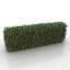 Bush