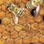 Honeycomb