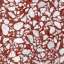 Granite