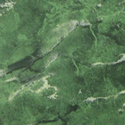 Tile